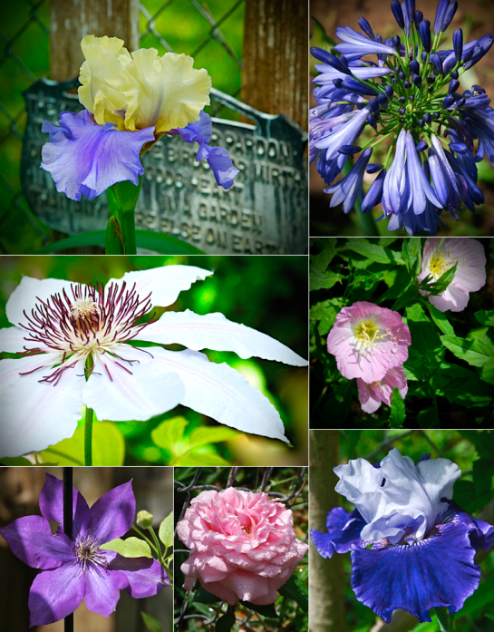 Screen Shot 2016-04-25 at 9.04.14 PM.png