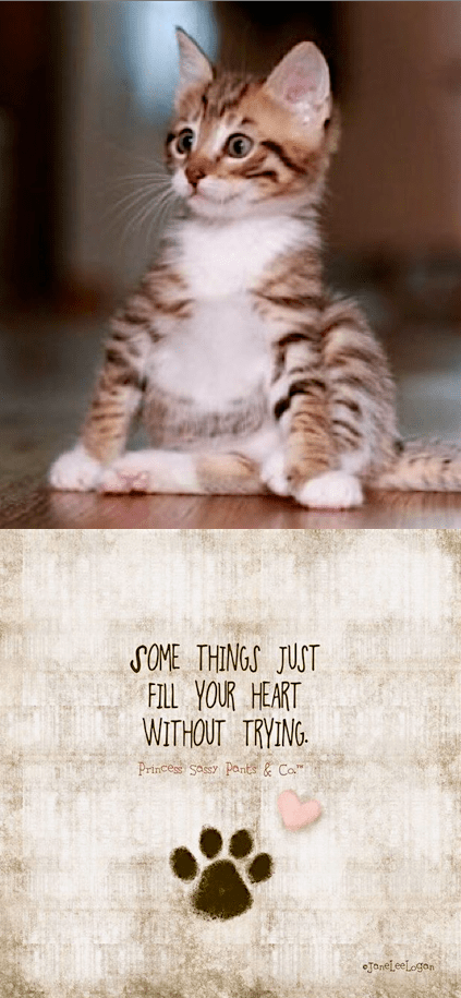 Screen Shot 2016-04-26 at 2.14.28 PM.png