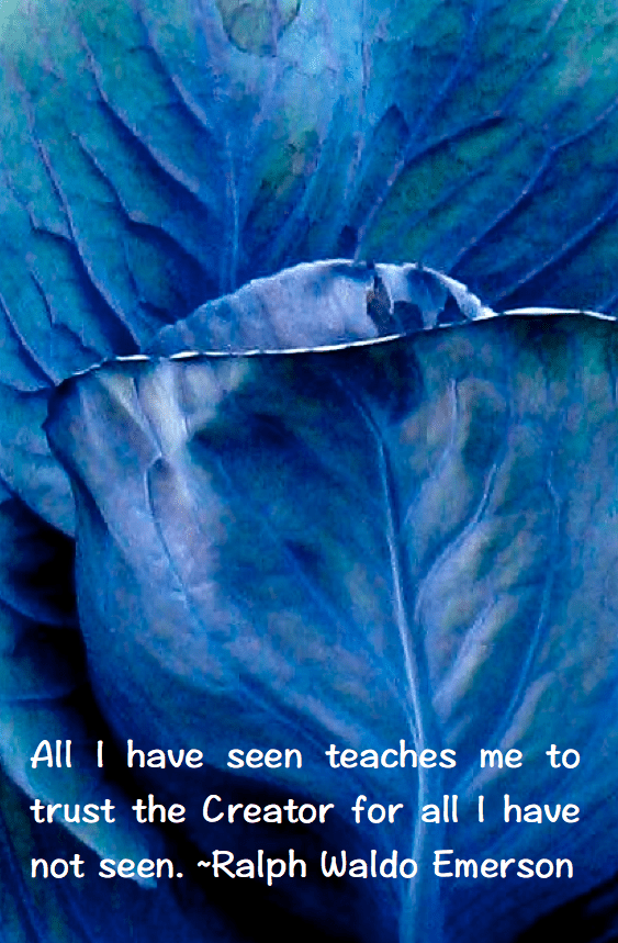 Screen Shot 2016-04-27 at 11.34.56 PM.png