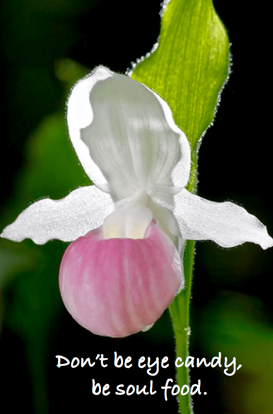 Screen Shot 2016-04-27 at 11.37.37 PM.png