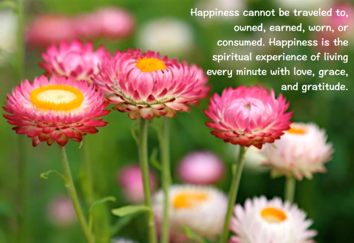 Screen Shot 2016-04-27 at 11.49.47 PM.png