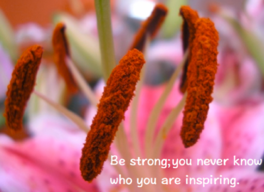 Screen Shot 2016-04-27 at 2.22.00 PM.png