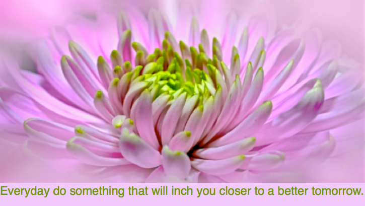 Screen Shot 2016-04-27 at 3.57.06 PM.png