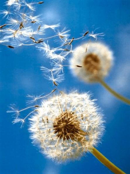 Screen Shot 2016-04-27 at 9.41.39 PM.png