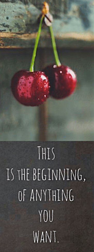 Screen Shot 2016-04-28 at 11.05.47 PM.png