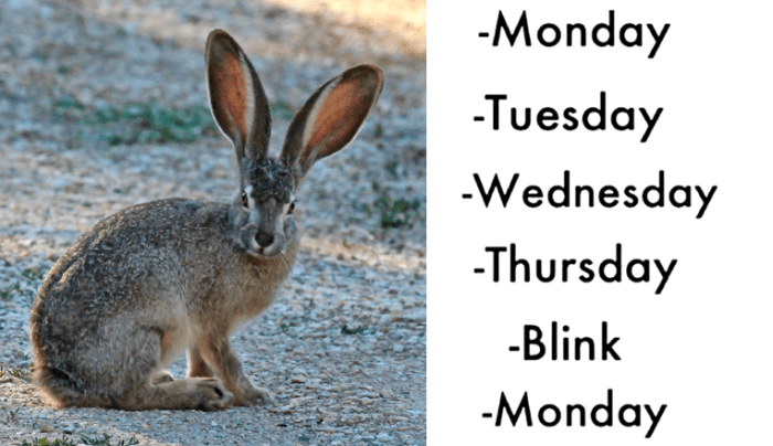 Screen Shot 2016-04-28 at 11.10.17 PM.png