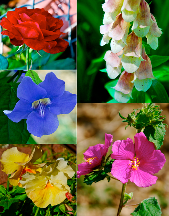 Screen Shot 2016-04-28 at 2.49.52 PM.png