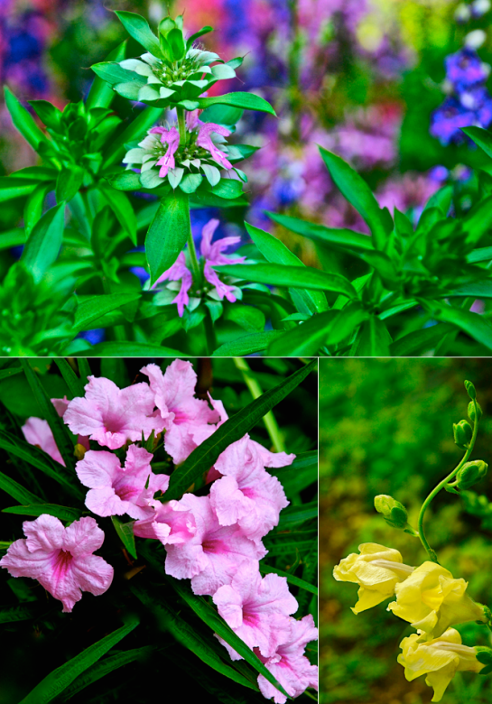 Screen Shot 2016-04-28 at 3.01.21 PM.png