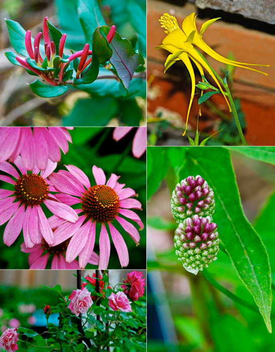 Screen Shot 2016-04-28 at 4.50.00 PM.png