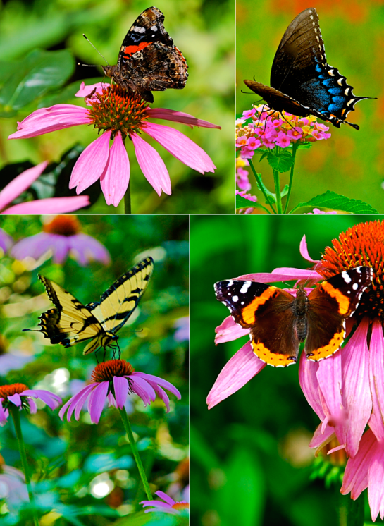 Screen Shot 2016-04-28 at 5.41.30 PM.png