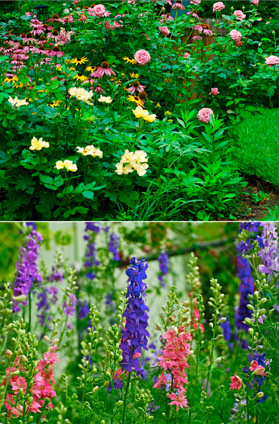 Screen Shot 2016-04-28 at 5.43.49 PM.png