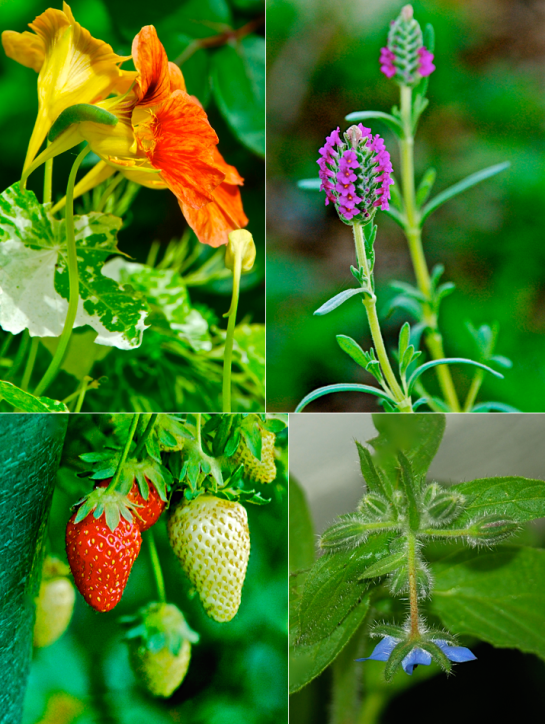 Screen Shot 2016-04-28 at 5.59.46 PM.png