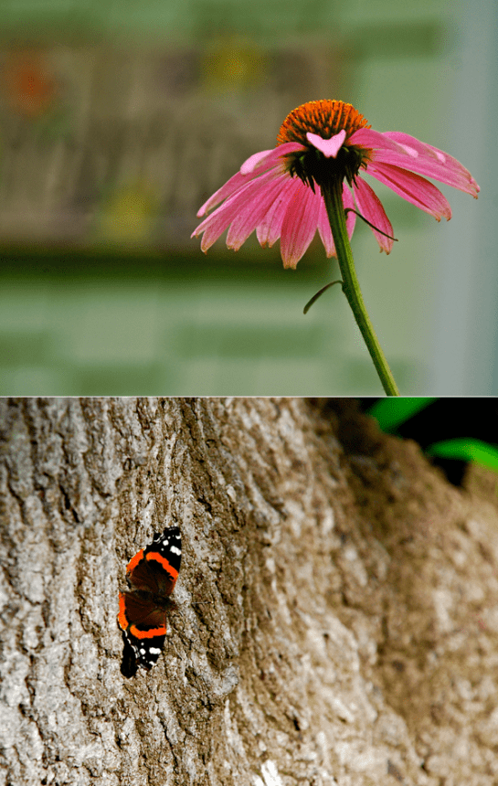 Screen Shot 2016-04-28 at 6.09.01 PM.png