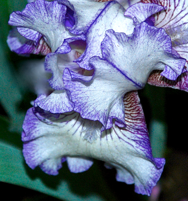 Screen Shot 2016-04-29 at 6.15.24 PM.png