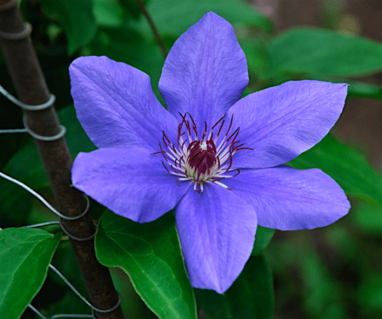 Screen Shot 2016-04-30 at 7.30.05 PM.png