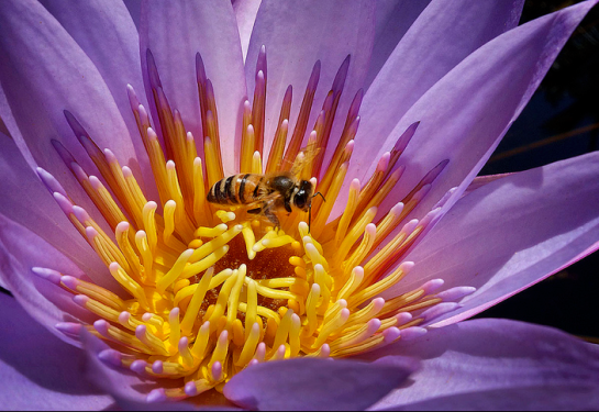 12998648_1119936468056673_3516435216107219327_n