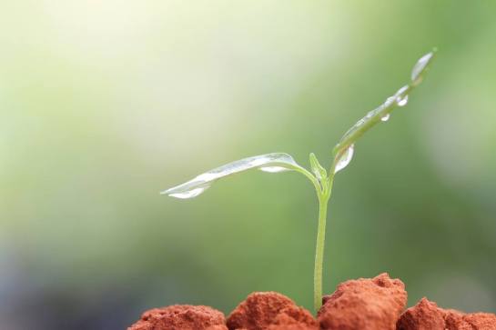 13221420_1180361228663407_9021272622186764640_o