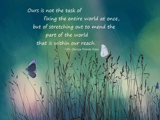 13230111_597829467049061_2596477608146525353_n