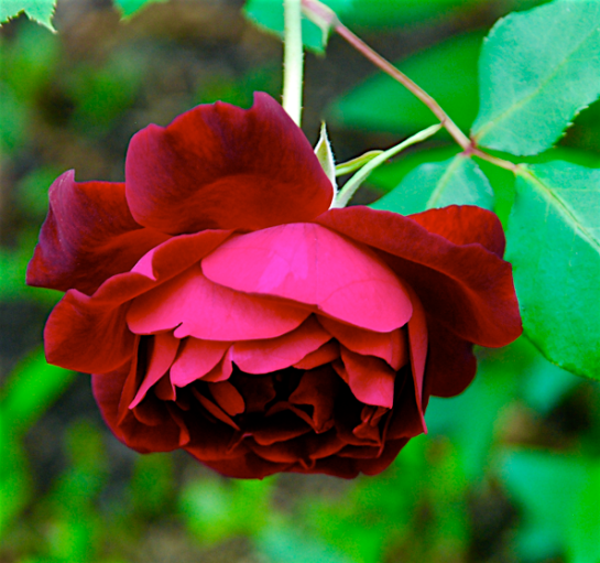 Screen Shot 2016-05-01 at 10.01.43 PM.png