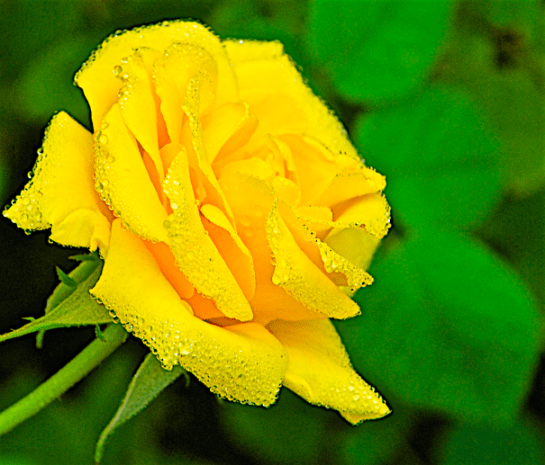 Screen Shot 2016-05-01 at 10.05.41 PM.png