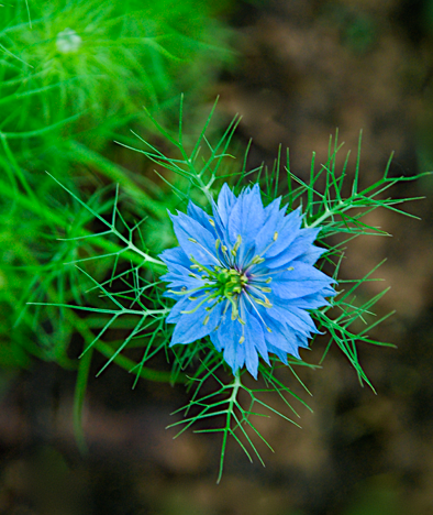 Screen Shot 2016-05-01 at 10.22.12 PM.png