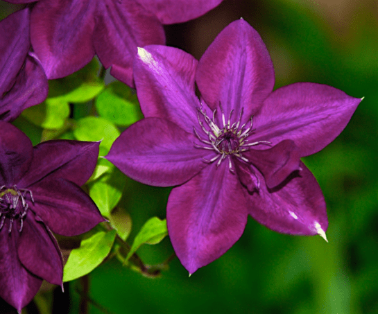 Screen Shot 2016-05-01 at 9.55.50 PM.png