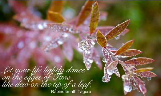 Screen Shot 2016-05-02 at 10.21.05 PM.png