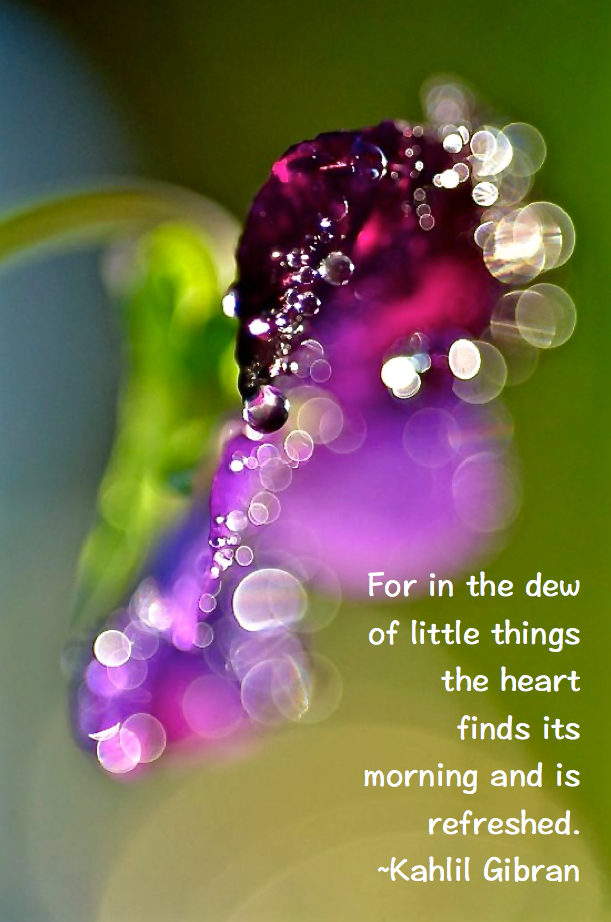 Screen Shot 2016-05-02 at 10.34.30 PM.png