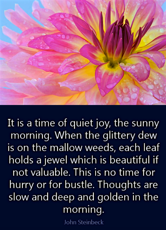 Screen Shot 2016-05-02 at 10.36.59 PM.png