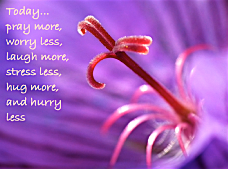 Screen Shot 2016-05-02 at 12.01.02 AM.png