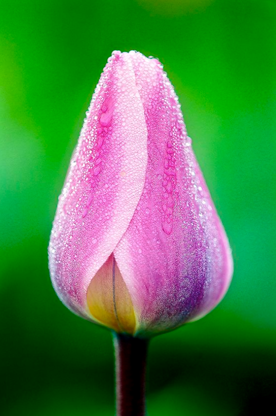 Screen Shot 2016-05-02 at 9.01.53 PM.png