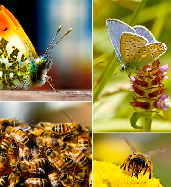 Screen Shot 2016-05-03 at 8.16.29 PM.png