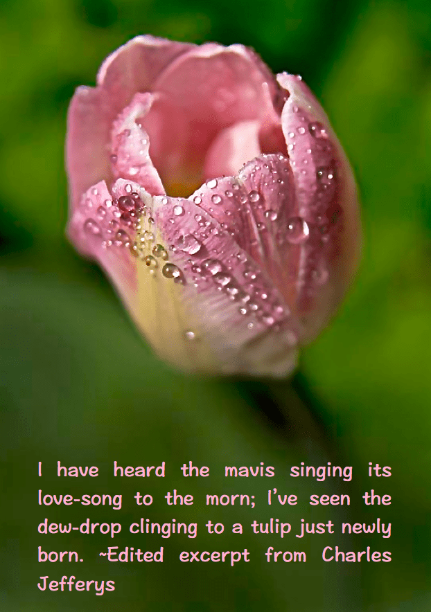 Screen Shot 2016-05-04 at 11.29.34 PM.png