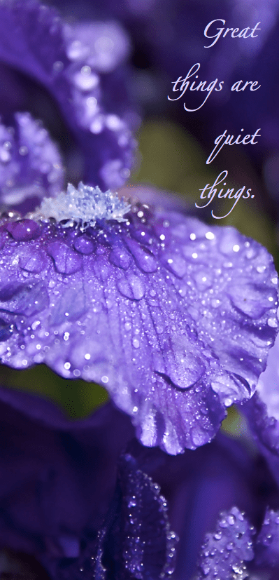 Screen Shot 2016-05-04 at 11.35.59 PM.png