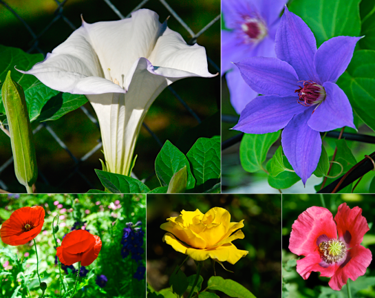 Screen Shot 2016-05-05 at 3.47.45 PM.png