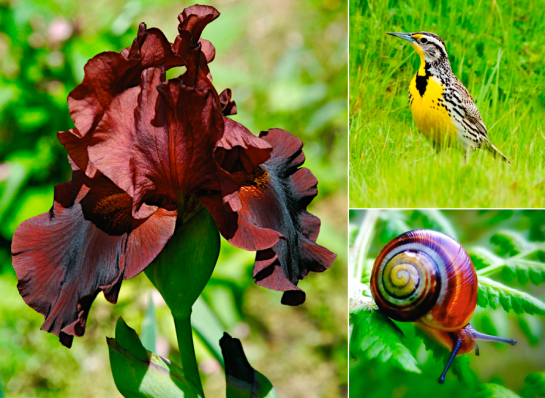 Screen Shot 2016-05-05 at 7.14.43 PM.png