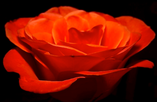 Screen Shot 2016-05-06 at 6.31.04 PM.png