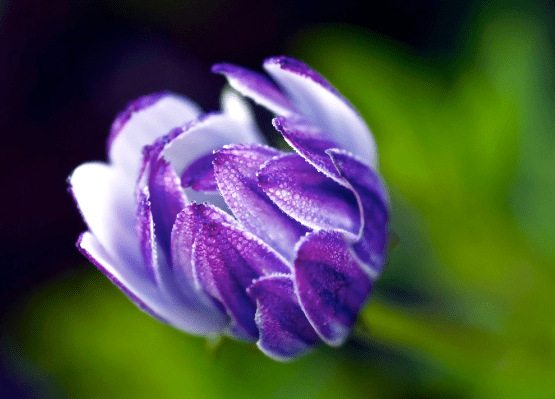 Screen Shot 2016-05-06 at 6.33.10 PM.png