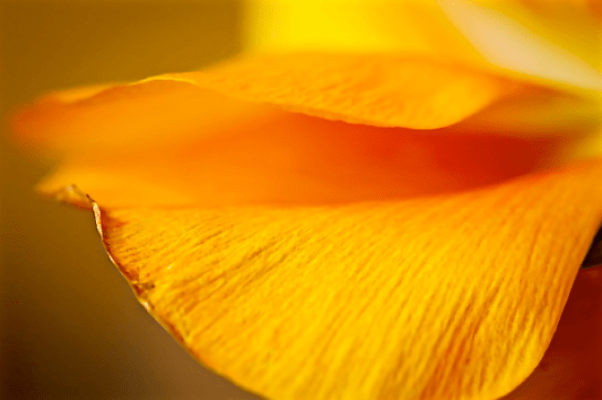 Screen Shot 2016-05-06 at 6.39.23 PM.png