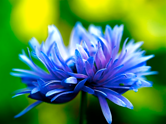 Screen Shot 2016-05-06 at 6.41.45 PM.png