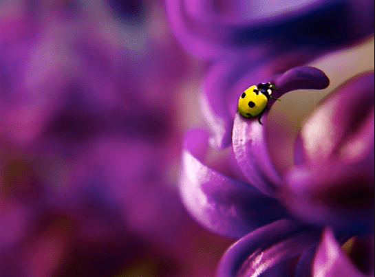 Screen Shot 2016-05-06 at 6.42.27 PM.png