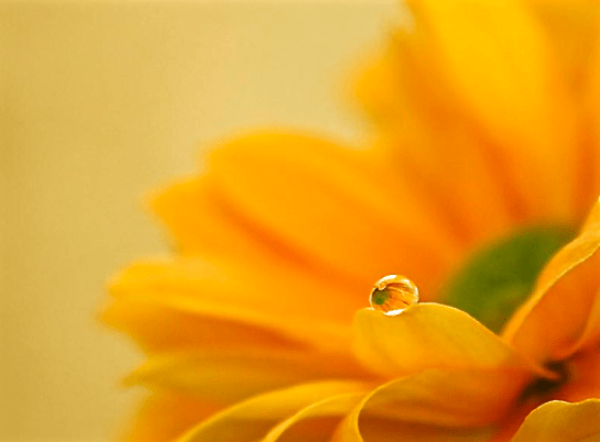 Screen Shot 2016-05-06 at 8.27.16 PM.png