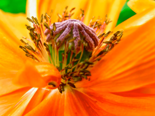 Screen Shot 2016-05-06 at 8.39.34 PM.png