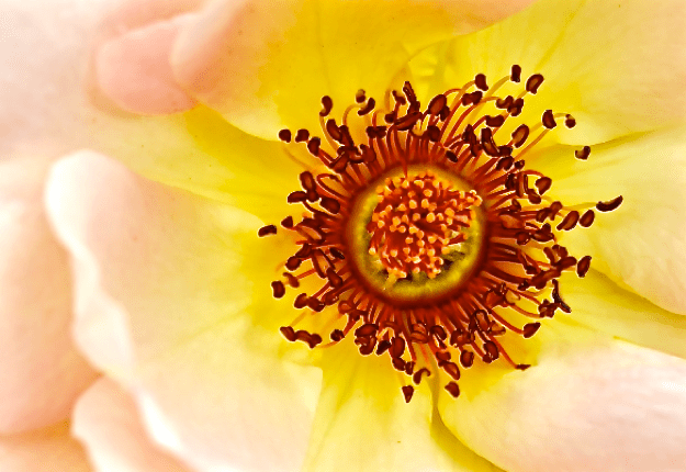 Screen Shot 2016-05-06 at 8.51.51 PM.png