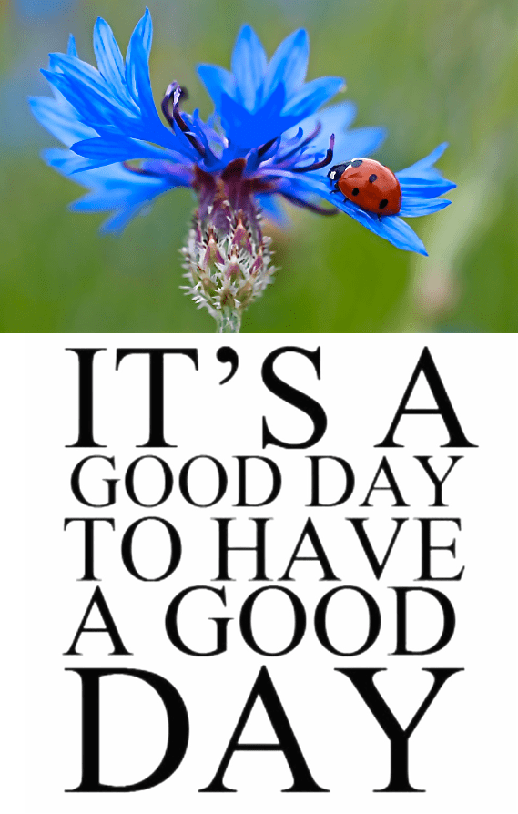 Screen Shot 2016-05-06 at 9.33.14 PM.png