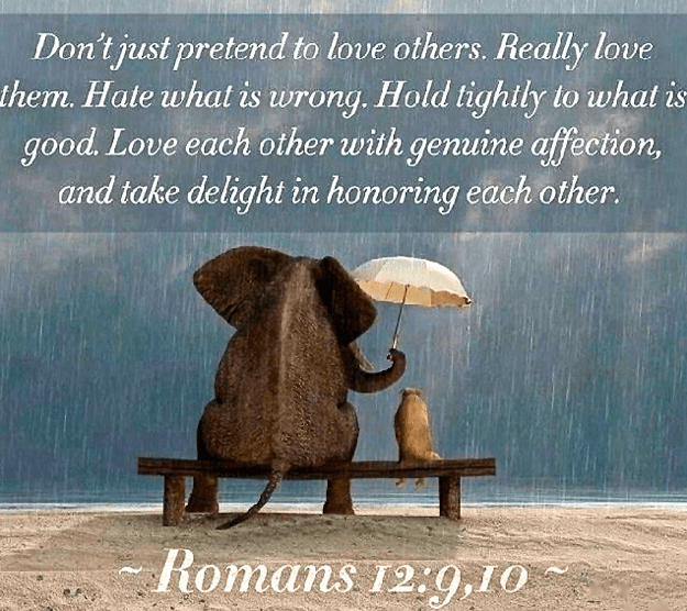 Screen Shot 2016-05-07 at 10.55.48 PM.png