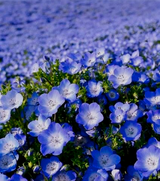 Screen Shot 2016-05-07 at 8.26.35 PM.png