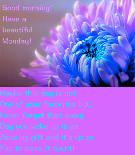 Screen Shot 2016-05-08 at 11.21.14 PM.png