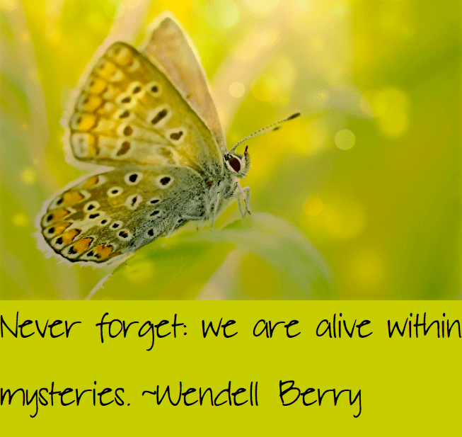 Screen Shot 2016-05-09 at 11.53.51 PM.png