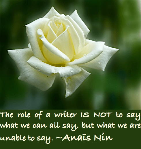 Screen Shot 2016-05-10 at 12.19.45 AM.png